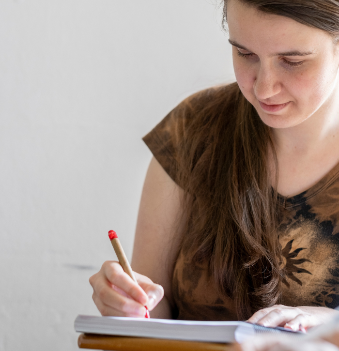 Curso Individual de español Cursos de español online